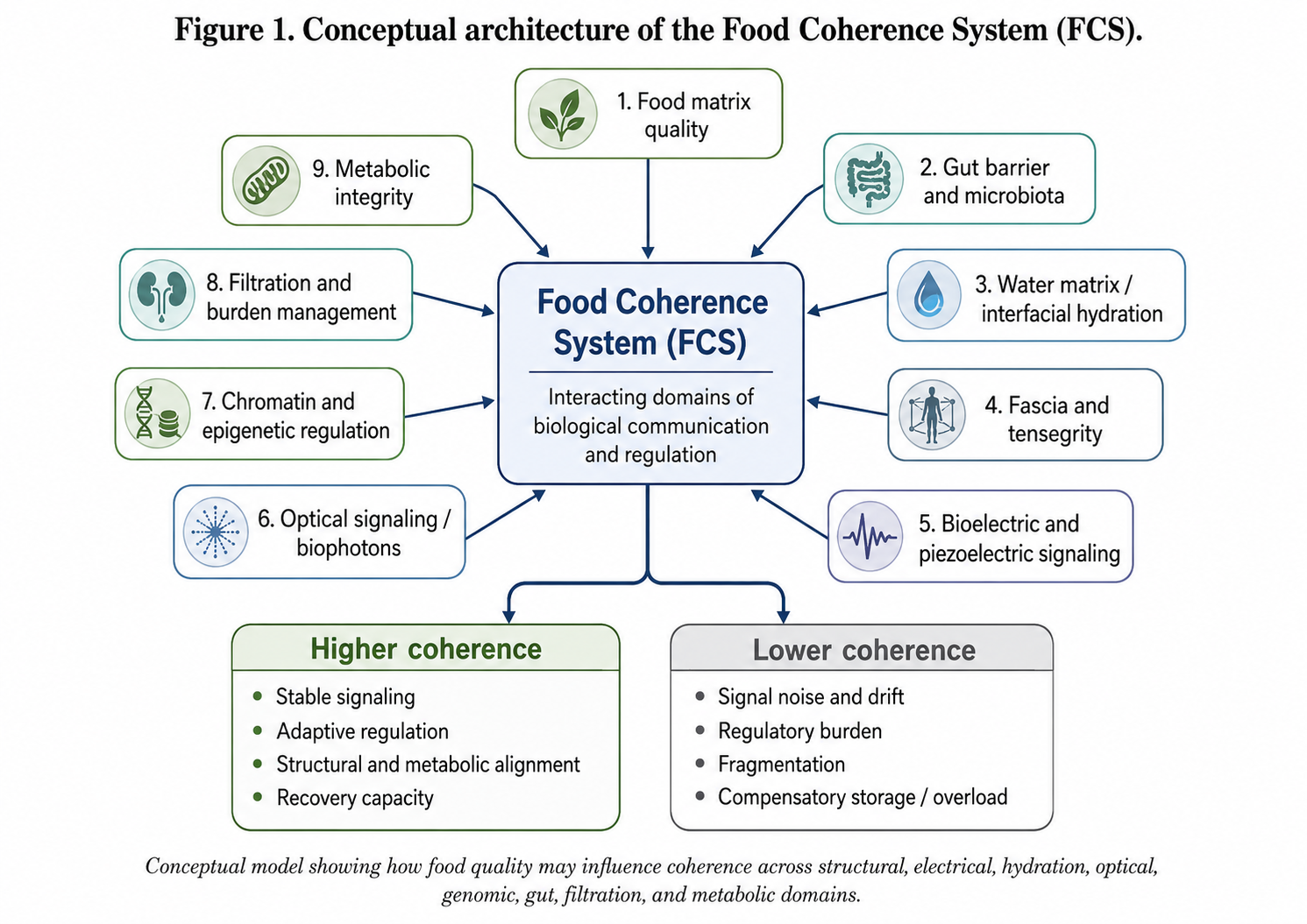 Food Coherence System: Biological Communication, Structural ...