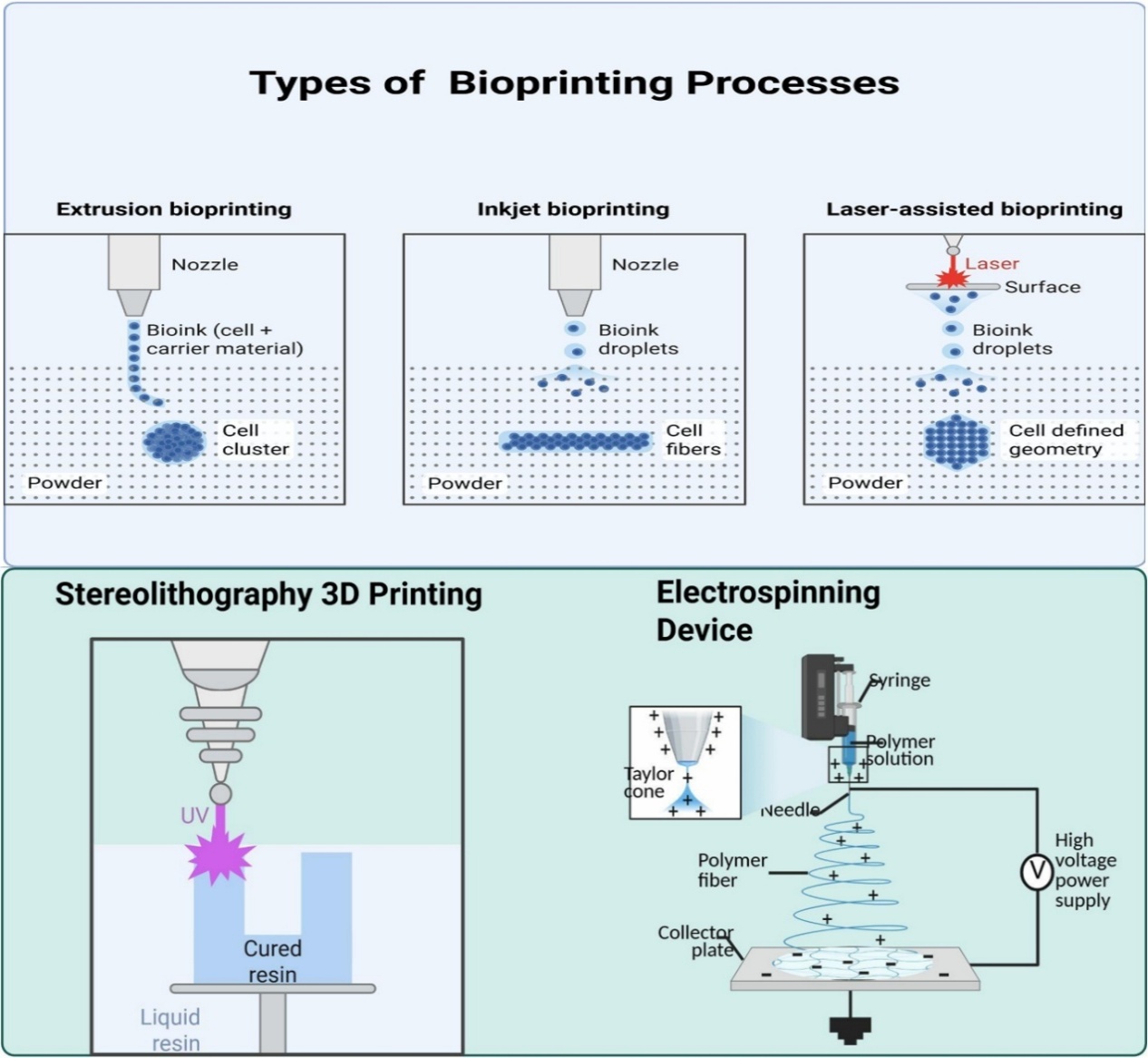 Marine-Derived Biopolymers as Bio-inks for 3D Bioprinting of Skin ...