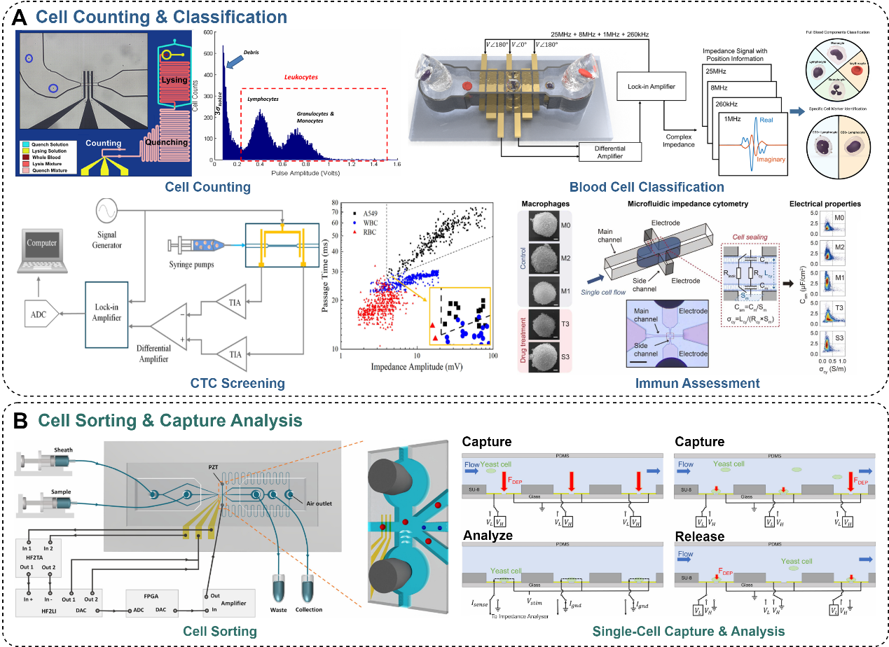 Microfluidic Impedance Platforms for Single-Cell Characterization and ...