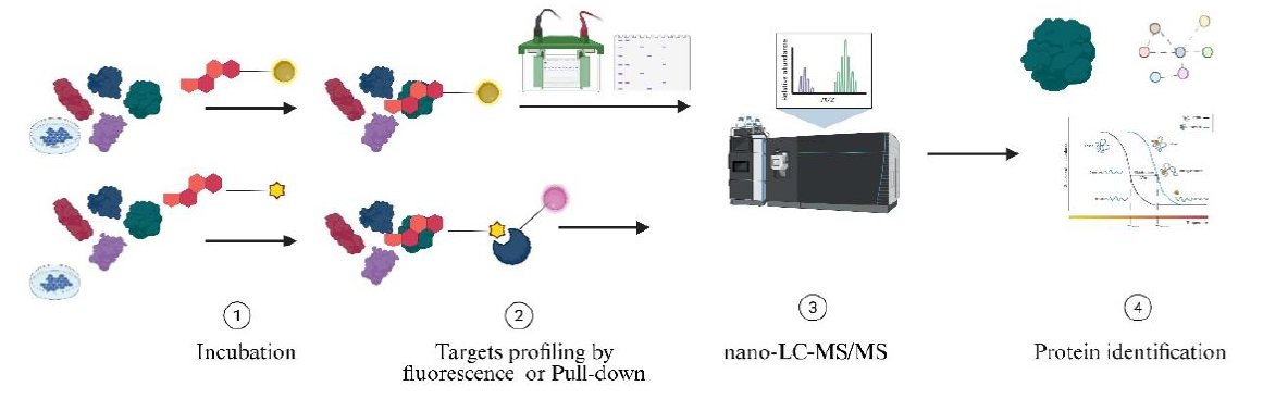 Charting Marine Bioactive Landscapes by Proteomics: Mass Spectrometry ...